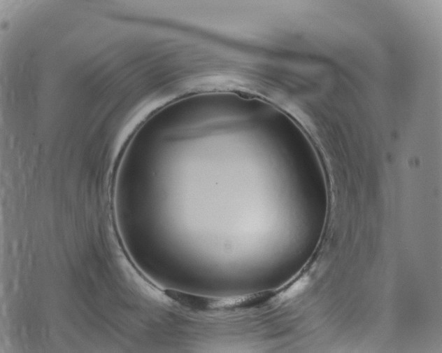 X0000074221392200609011206