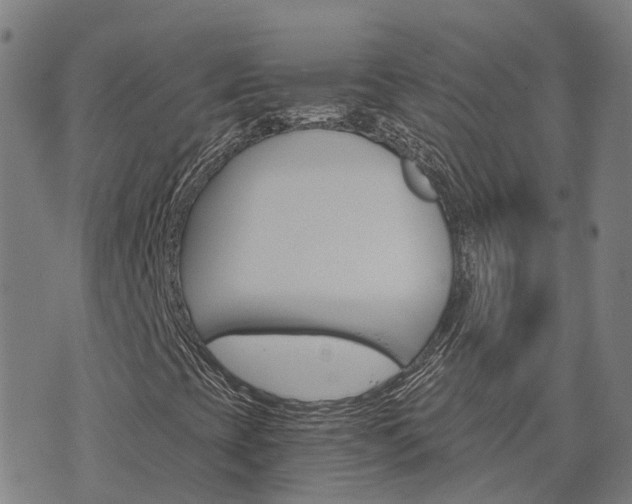 X0000074221393200609011205