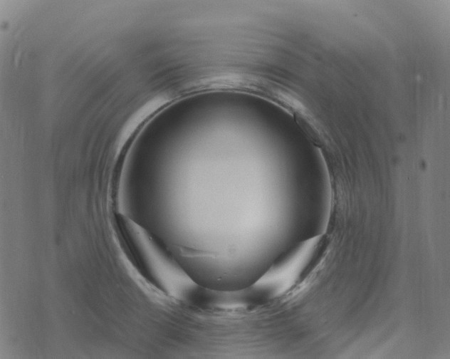 X0000074221426200609011205