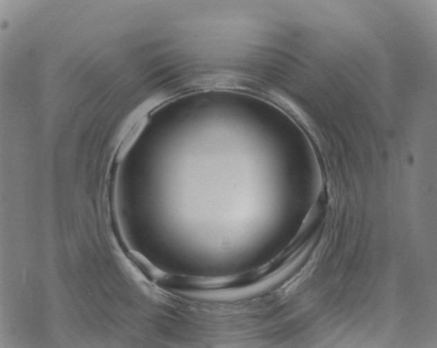 X0000074221434200609011205