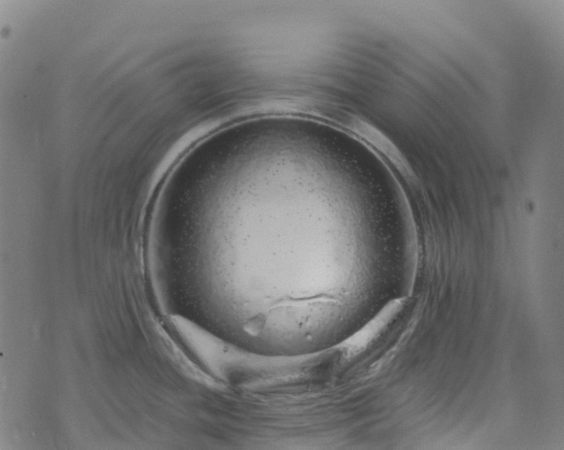 X0000074221436200609011206