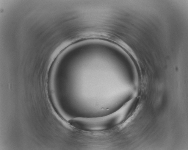 X0000074221437200609011206
