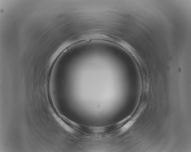 X0000074221438200609011206