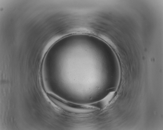 X0000074221440200609011206