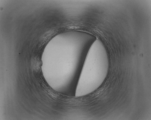 X0000074221444200609011205