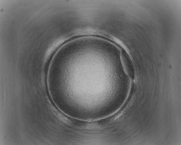X0000074221464200609011204
