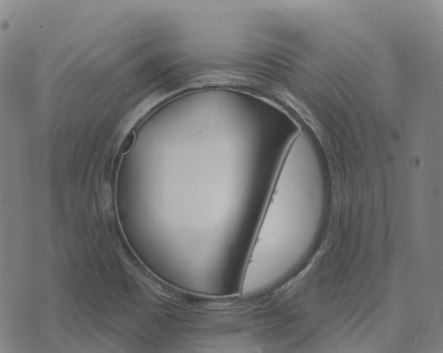 X0000074221465200609011204