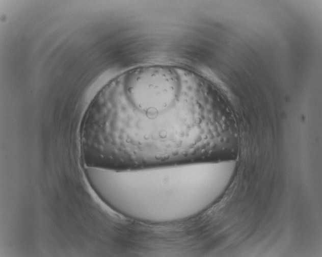 X0000074221479200609011204