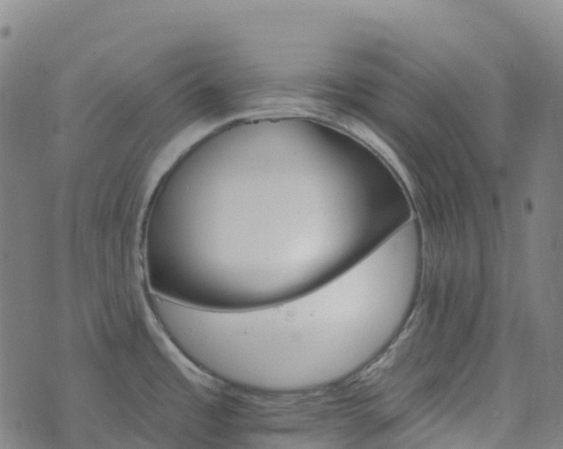 X0000074221485200609011204