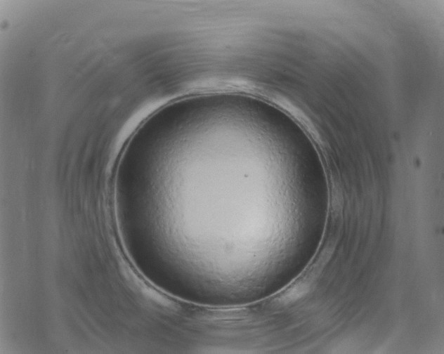 X0000074221486200609011204