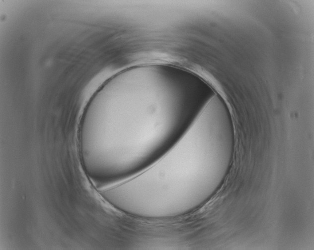 X0000074221488200609011204