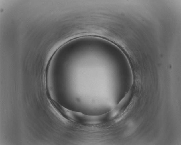 X0000074221516200609011204