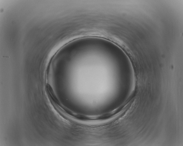 X0000074221520200609011204