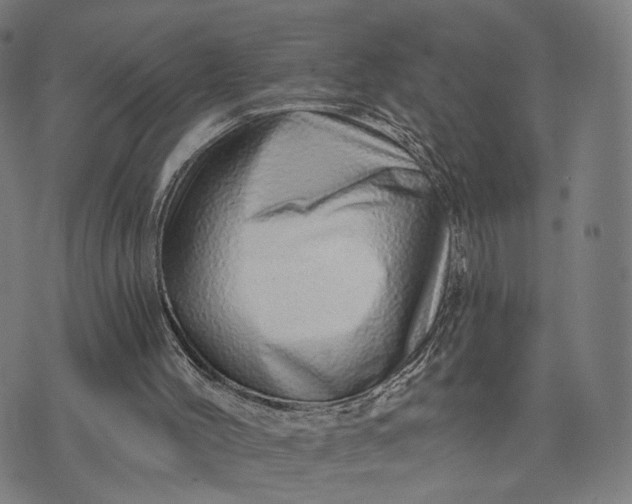 X0000074220004200609081607