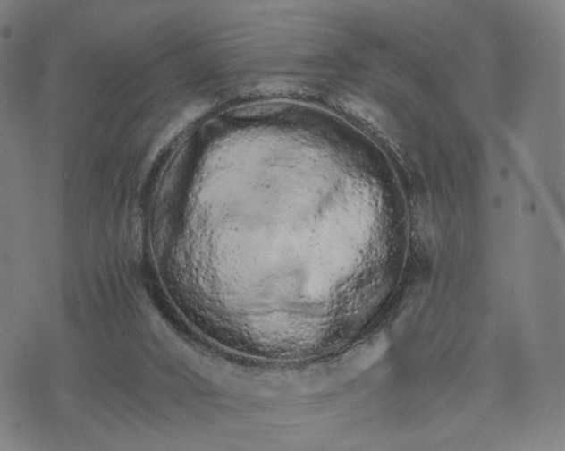 X0000074220016200609081607