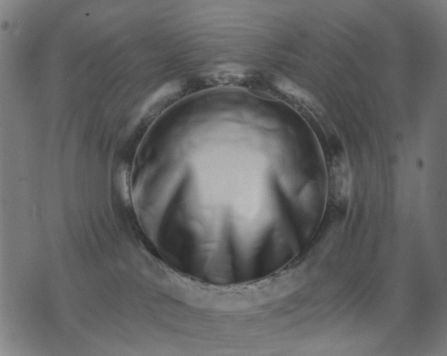 X0000074220042200609081607