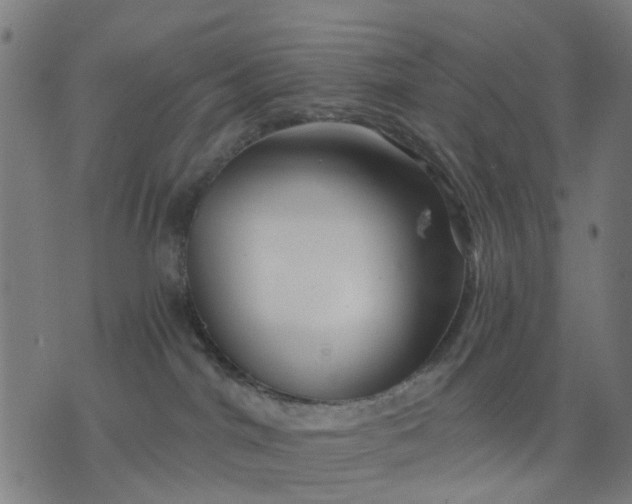 X0000074220044200609081607