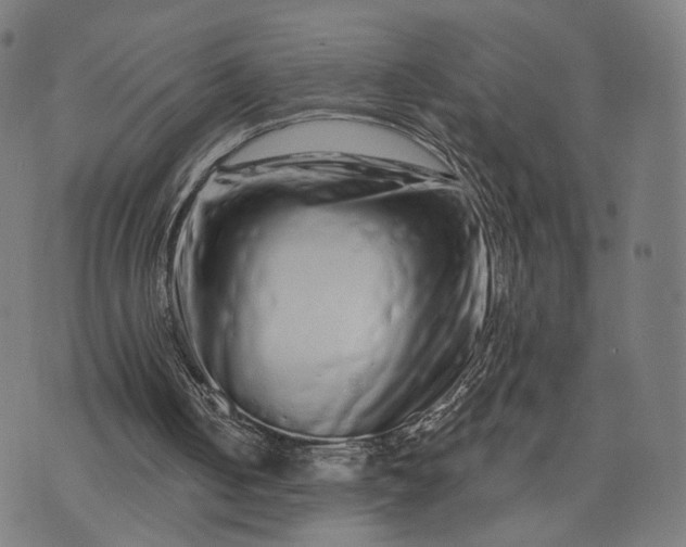 X0000074220050200609081606