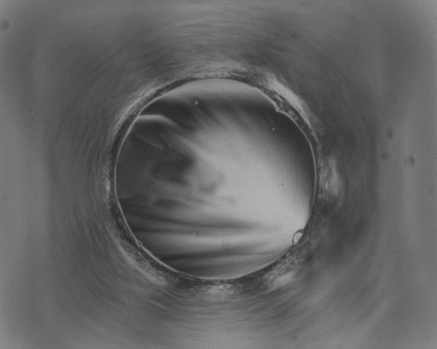 X0000074220059200609081606