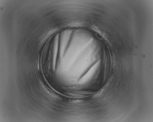 X0000074220062200609081606