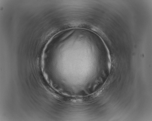 X0000074220066200609081606