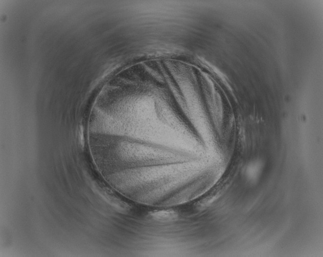 X0000074220067200609081606