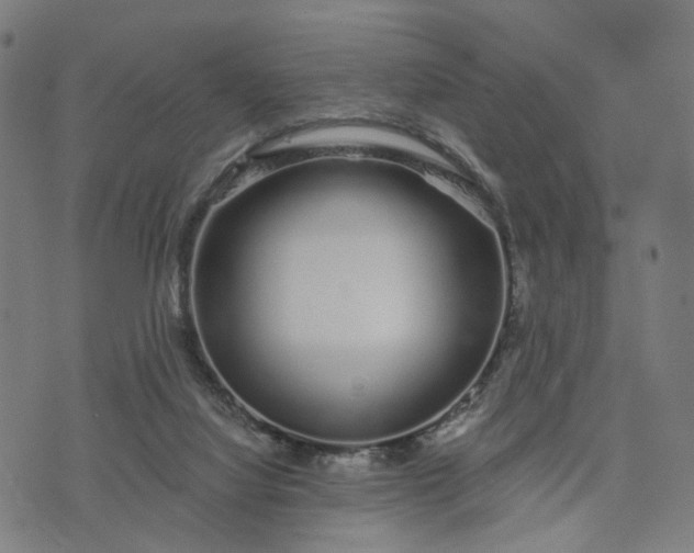 X0000074220068200609081606