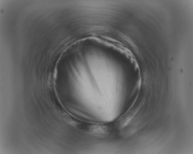 X0000074220073200609081606