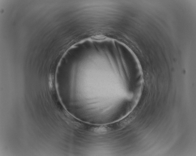 X0000074220075200609081606