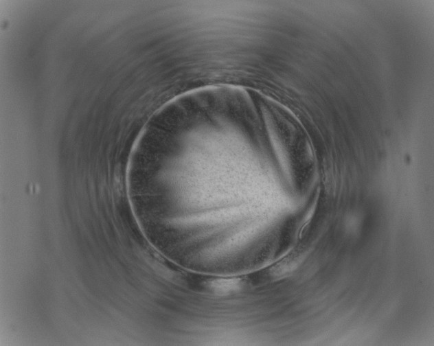 X0000074220085200609081606