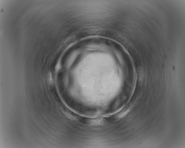 X0000074220089200609081606