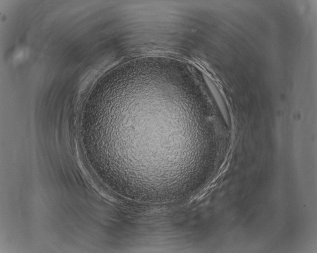 X0000074220097200609081606