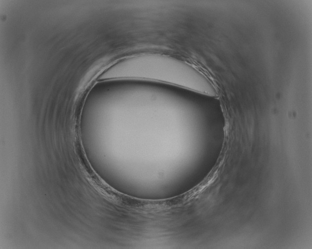 X0000074220101200609081606