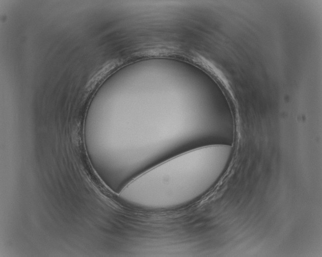X0000074220105200609081606