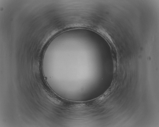 X0000074220108200609081606