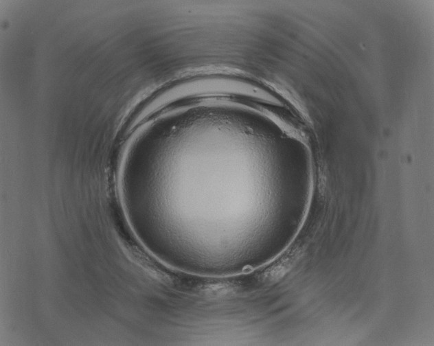 X0000074220111200609081606