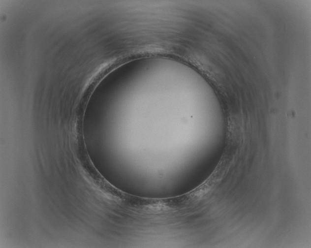 X0000074220112200609081606