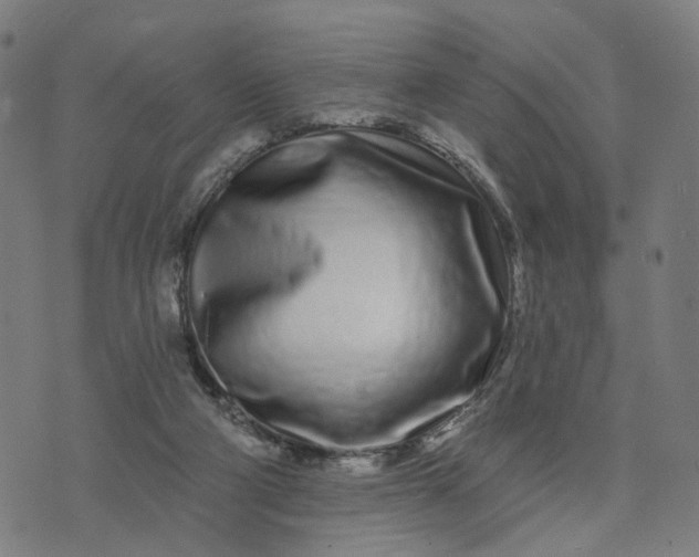 X0000074220114200609081606