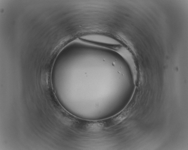 X0000074220115200609081606