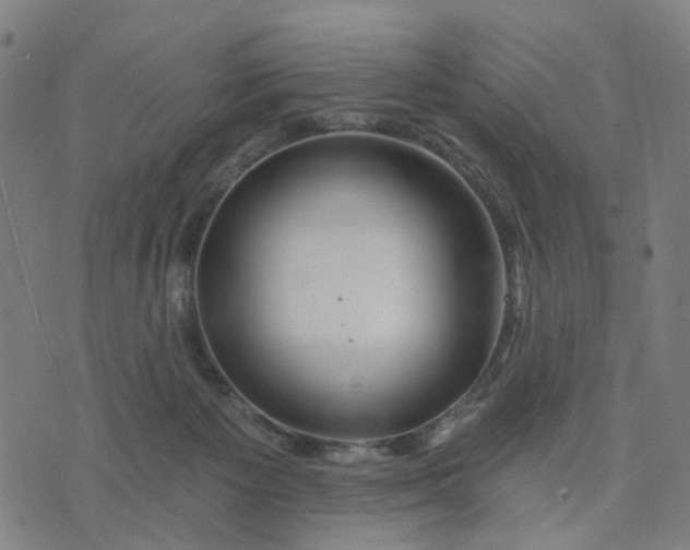 X0000074220125200609081605