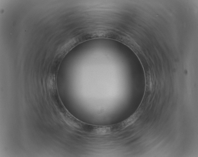 X0000074220126200609081605