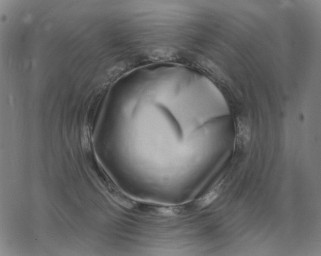 X0000074220130200609081605