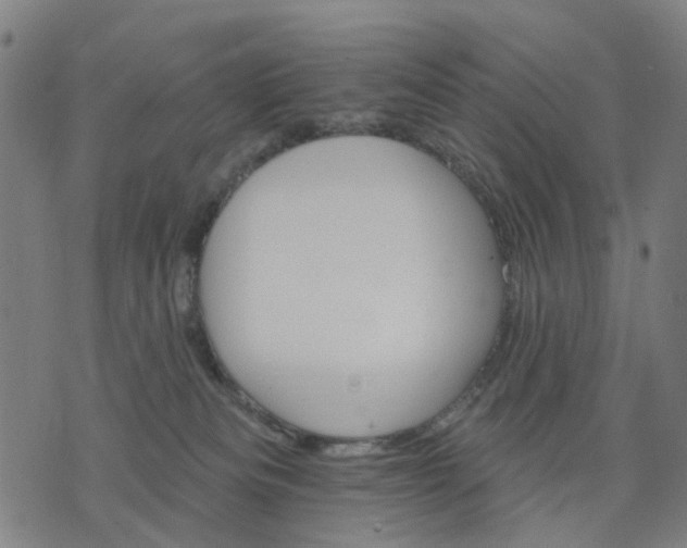 X0000074220133200609081605