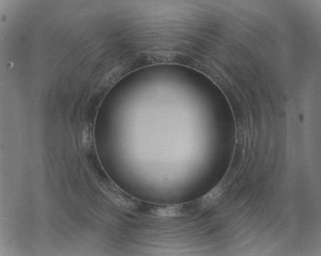X0000074220134200609081605