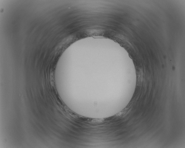 X0000074220138200609081605