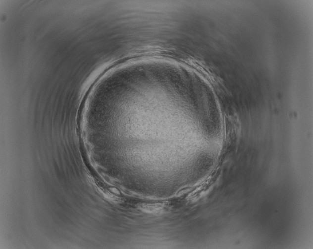 X0000074220147200609081604