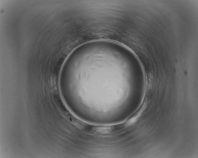 X0000074220182200609081605