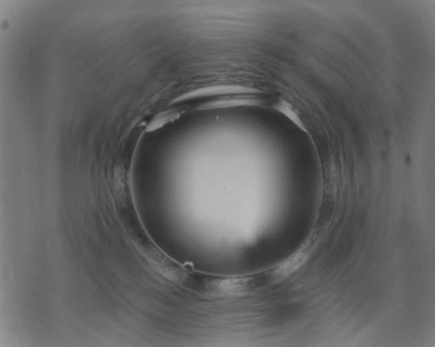 X0000074220184200609081605