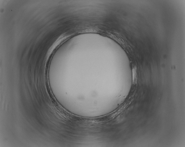 X0000074220195200609081604