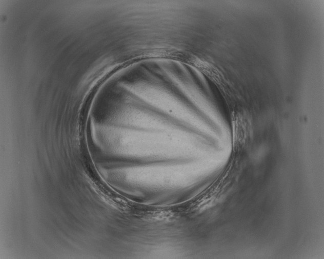 X0000074220243200609081603